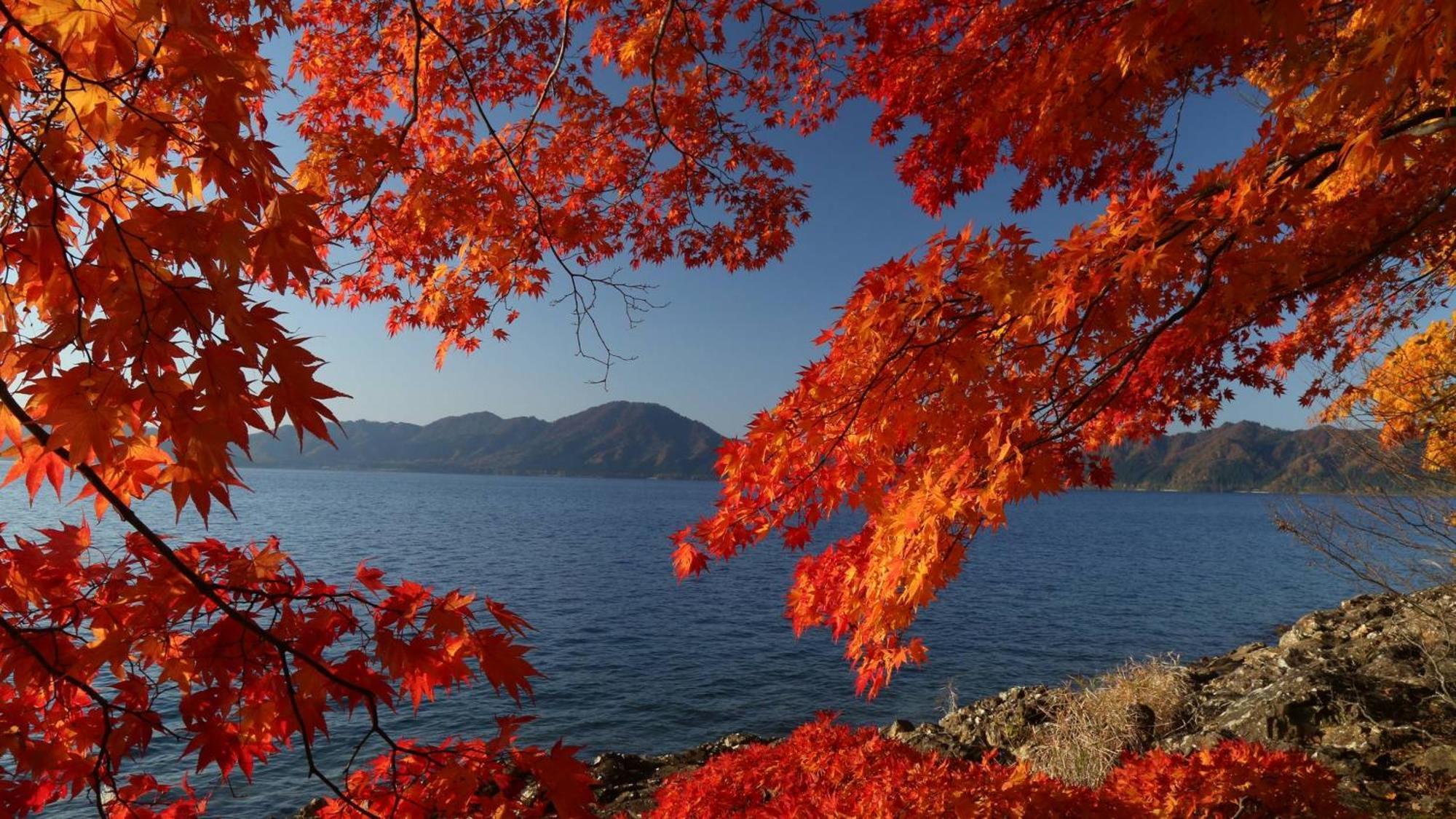 Kashintei Shirahama 호텔 Semboku 외부 사진