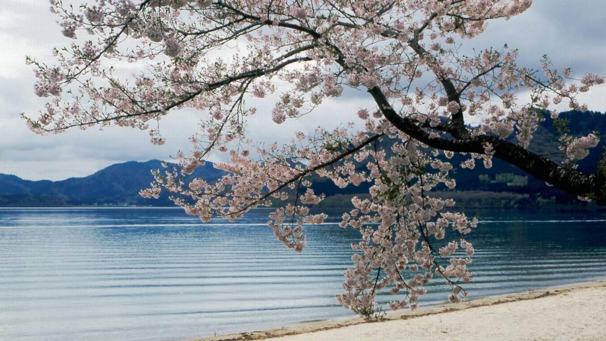 Kashintei Shirahama 호텔 Semboku 외부 사진